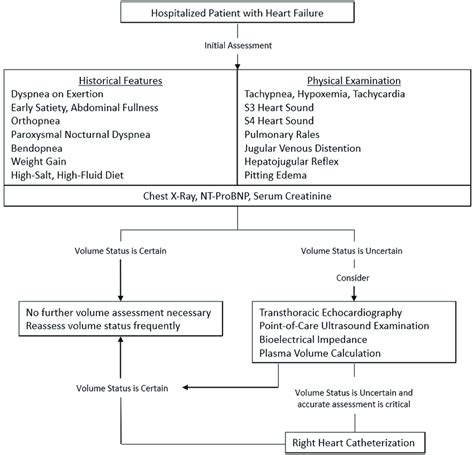 10 Steps to Assess Volume Status in Congestive Heart Failure.